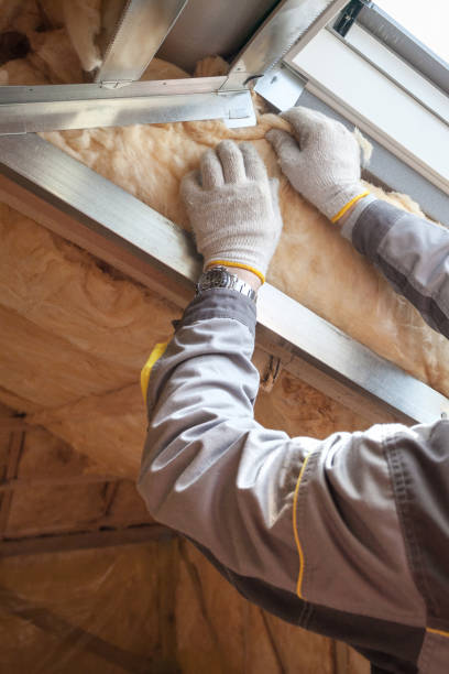 Best Eco-Friendly Insulation in Hoxie, AR